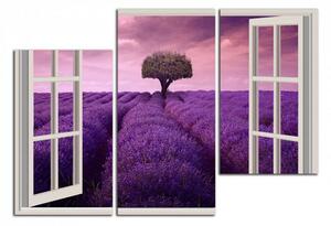 Obraz na plátne Okno do Provence