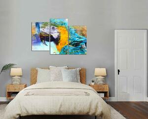 Moderný obraz Farebný papagáj