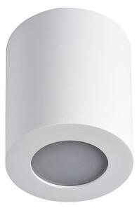 Kanlux 29241 - Kúpeľňové stropné svietidlo SANI 1xGU10/10W/230V IP44 biela