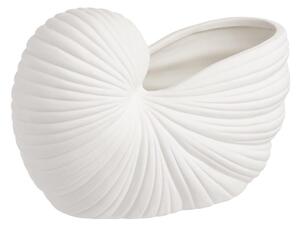 SCALLOP Dekorácia mušľa 25 cm - biela