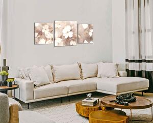 Obraz na stenu Jemné biele kvety