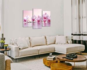 Obraz do bytu Ružové orchidey