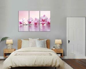 Obraz do bytu Ružové orchidey