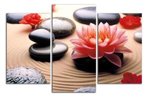 Obraz na stenu Kvet a zen kamene