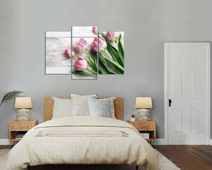 Obraz na stenu Ružové tulipány