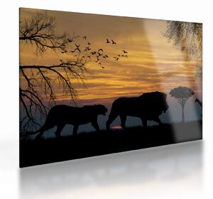 Sklenený obraz Safari (70x50 cm)