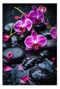 Moderný obraz Fialové orchidey na kameňoch