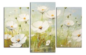 Obraz na plátne Biele kvety na lúke