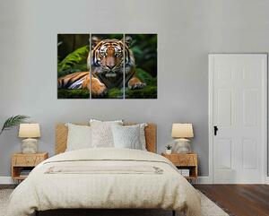 Obraz na stenu Tyger v džungli