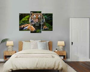 Obraz na stenu Tyger v džungli