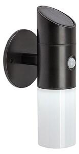 RABALUX 77030 Lutto solárne nástenné svietidlo so senzorom LED 1W/65lm 6500K+RGBW IP44 čierna, biela