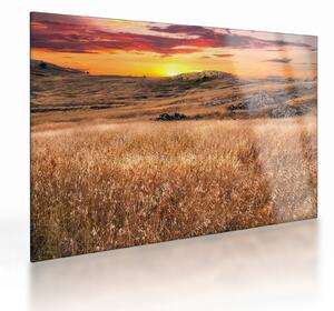 Sklenený obraz pole (70x50 cm)