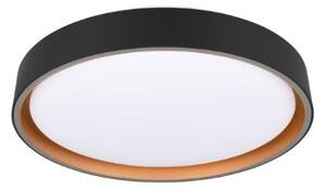 TRIO Reality R64391080 FELIS stropné svietidlo SMD LED D400mm 24W/2500lm 2700-6500K čierno-zlatá, biela, stmievateľné, diaľkový ovládač