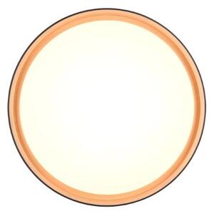 TRIO Reality R64391080 FELIS stropné svietidlo SMD LED D400mm 24W/2500lm 2700-6500K čierno-zlatá, biela, stmievateľné, diaľkový ovládač