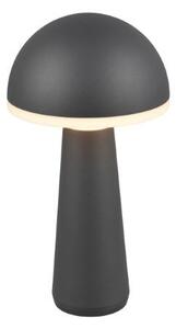 TRIO Reality R57716142 FUNGO vonkajšia stolná lampa SMD LED V310mm 2W/200lm 3000+4000+6500K IP54 antracitová, čierna, nabíjateľná batéria, USB-C port, nabíjacia stanica