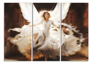 Obraz na plátne Žena anjel