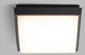 LED2 5130834 QUADO S, stropné hranaté extériové svietidlo 175mm 10W/800lm 3000K IP54 antracit