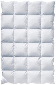 ZIMNÁ PRIKRÝVKA, 135/200 cm, kačacie páperie, kačacie perie Billerbeck - Prikrývky & vankúše, Online Only