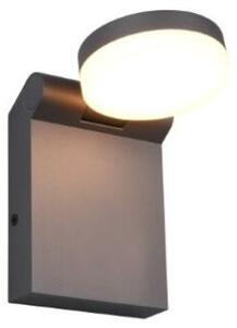 TRIO 245560142 ADOUR vonkajšie nástenné svietidlo SMD LED 7W/750lm 2300+3000+4000K IP44 antracit