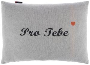 DEKORAČNÝ VANKÚŠ 40/60 cm David Fussenegger - Textil do domácnosti