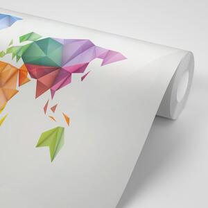 Tapeta farebná mapa sveta v štýle origami
