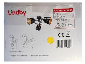 Lindby Lindby - Prisadený luster SINDRI 3xE14/25W/230V LW1269 + záruka 3 roky zadarmo