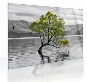 Sklenený obraz stromu uprostred jazera (70x50 cm)