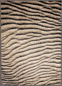 Hnedý koberec 80x120 cm Avanti – FD