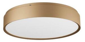 REDO 01-2568 YOMO stropné svietidlo D370mm LED 43,6W/2650lm 3000K zlatá, switchdimmer