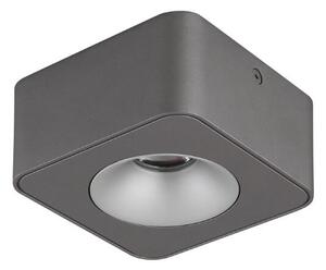 GLOBO 43100-1 HANGARAU povrchové bodové svietidlo LED 6,5W/360lm 3000K tmavošedá, šedá