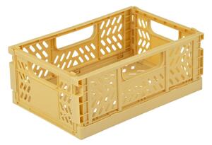 Okrovožltý plastový úložný box 21x14.5x8 cm – Homéa