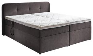 BOXSPRINGOVÁ POSTEĽ, 180/200 cm, sivá Carryhome - Online Only spálne, Online Only