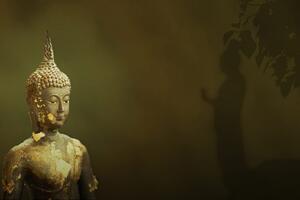 Tapeta Budha a jeho odraz