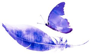 Samolepiaca tapeta pierko s motýľom vo fialovom prevedení