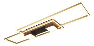 TRIO 647710480 ALBANY stropné svietidlo SMD LED 37W/4300lm 2700-6500K čierno zlatá, diaľkový ovládač