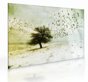 Sklenený obraz - Maľovaný kŕdeľ vtákov (70x50 cm)