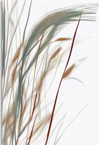 Obraz minimalistické steblá trávy