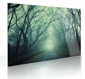 Sklenený obraz - Cesta s alejou stromov (70x50 cm)
