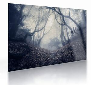 Sklenený obraz - Les v hmle (70x50 cm)