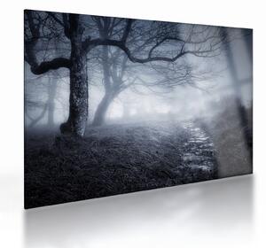 Sklenený obraz - Cesta v hmle (70x50 cm)