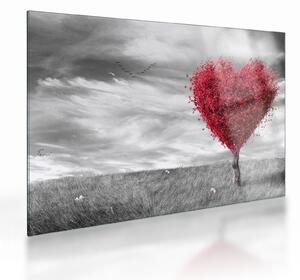 Sklenený obraz - Srdce korunou stromu (70x50 cm)