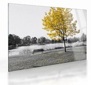 Sklenený obraz - Odpočinok v parku (70x50 cm)