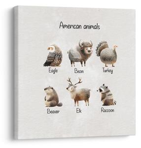 Obraz ilustrácia amerických zvierat