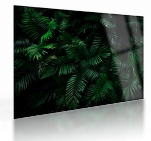 Sklenený obraz - Tropické papradie (70x50 cm)