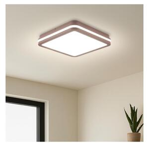 Brilagi -LED vonkajšie stropné svietidlo BENE LED/24W/230V 26x26 cm hnedé IP54