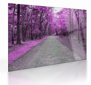 Sklenený obraz - Cesta parkom (70x50 cm)