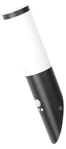 Rabalux 8146 - Vonkajšie nástenné svietidlo so senzorom BLACK TORCH 1xE27/25W/230V