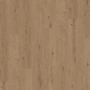 Parador Modular ONE Dub Atmosphere umber 1744546 2,49 m²