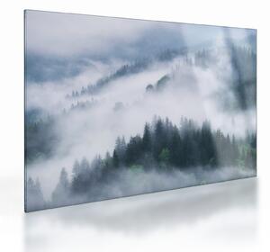 Sklenený obraz - Stromy v hmle (70x50 cm)