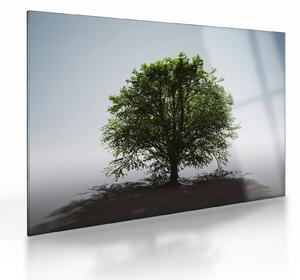 Sklenený obraz - Osamotený strom (70x50 cm)